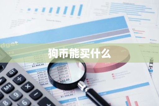 狗币能买什么