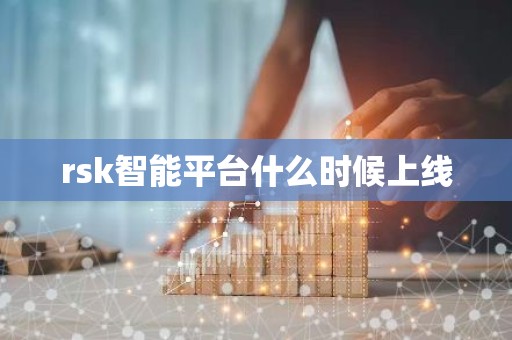 rsk智能平台什么时候上线