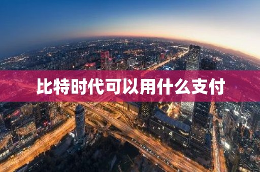 比特时代可以用什么支付