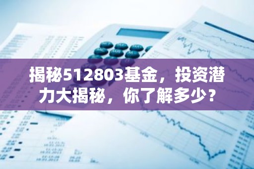 揭秘512803基金，投资潜力大揭秘，你了解多少？