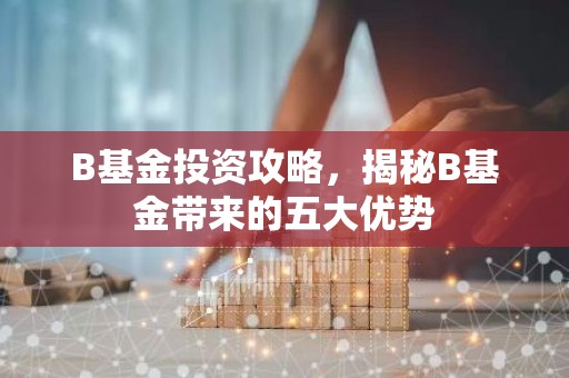 B基金投资攻略，揭秘B基金带来的五大优势