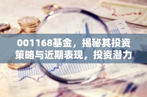 001168基金，揭秘其投资策略与近期表现，投资潜力如何？