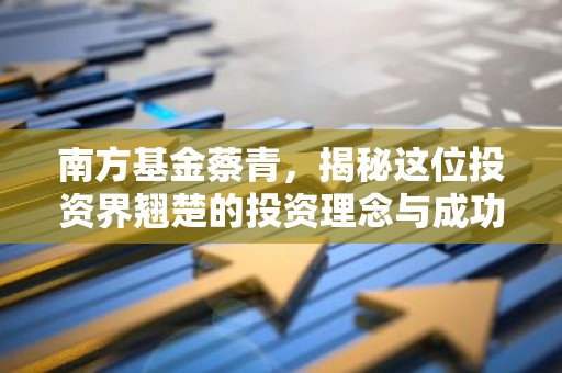 南方基金蔡青，揭秘这位投资界翘楚的投资理念与成功之道
