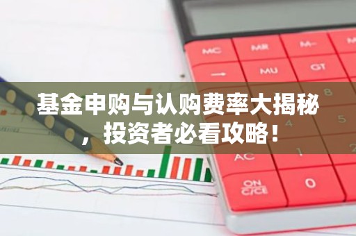 基金申购与认购费率大揭秘，投资者必看攻略！