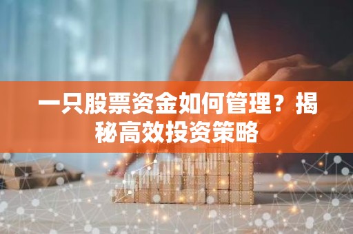 一只股票资金如何管理？揭秘高效投资策略