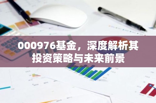 000976基金，深度解析其投资策略与未来前景