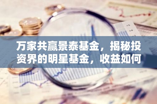 万家共赢景泰基金，揭秘投资界的明星基金，收益如何？风险几何？