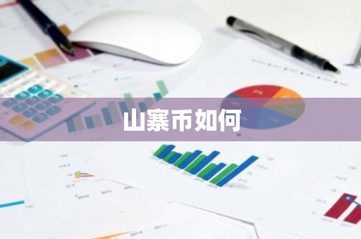 山寨币如何