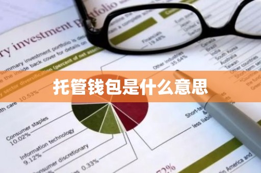 托管钱包是什么意思