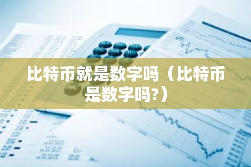 比特币就是数字吗（比特币是数字吗?）