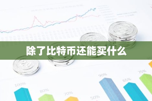 除了比特币还能买什么