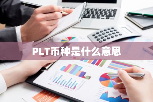 PLT币种是什么意思