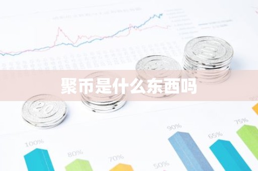 聚币是什么东西吗