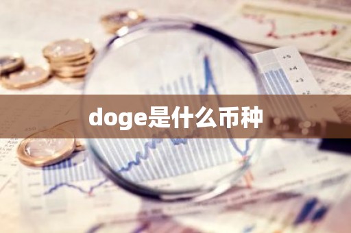 doge是什么币种