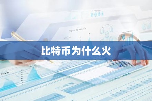 比特币为什么火