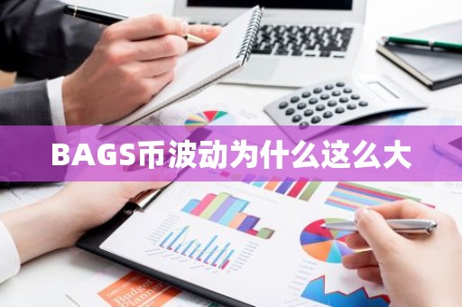 BAGS币波动为什么这么大
