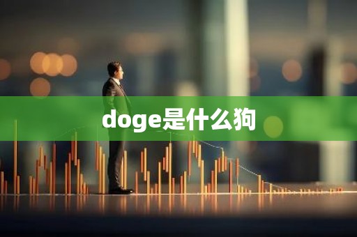 doge是什么狗