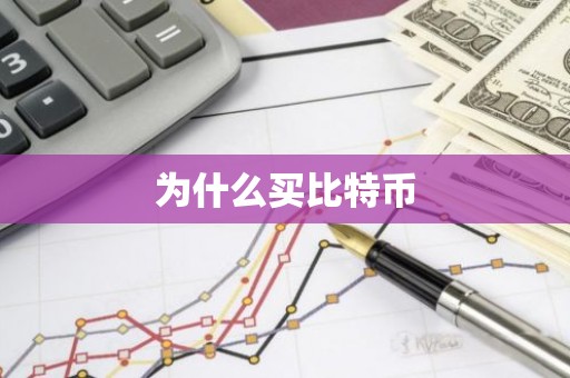 为什么买比特币