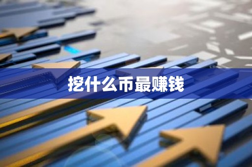 挖什么币最赚钱