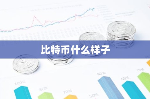 比特币什么样子