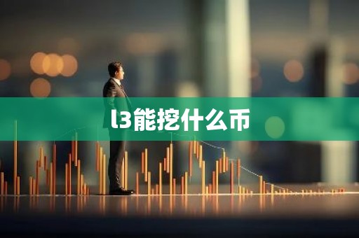 l3能挖什么币