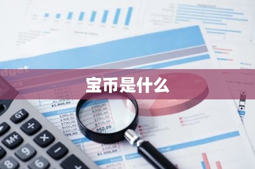 宝币是什么