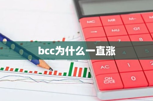 bcc为什么一直涨