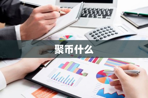 聚币什么