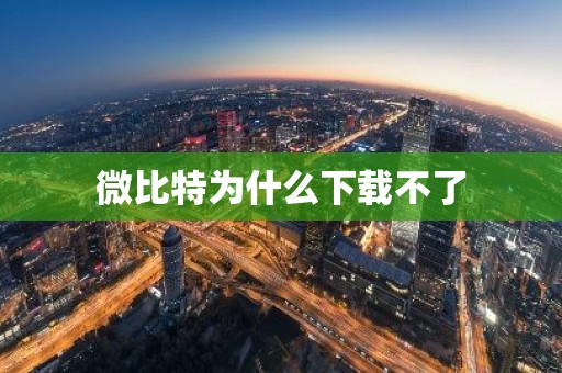 微比特为什么下载不了