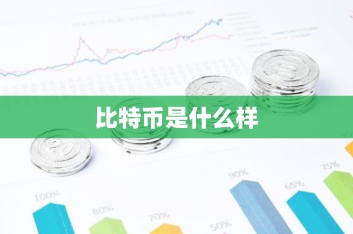比特币是什么样