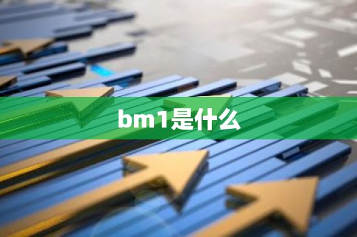 bm1是什么