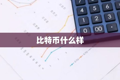 比特币什么样