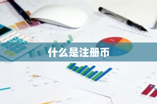 什么是注册币