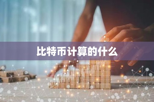 比特币计算的什么