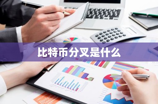 比特币分叉是什么