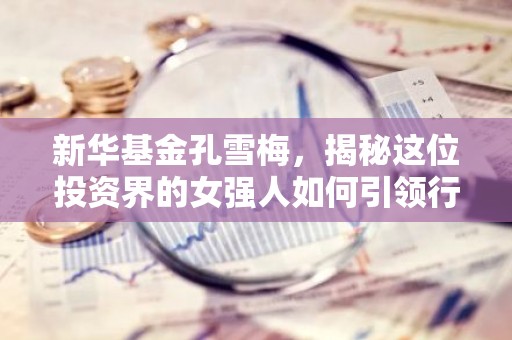 新华基金孔雪梅，揭秘这位投资界的女强人如何引领行业潮流