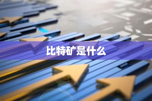 比特矿是什么