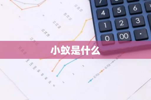 小蚁是什么