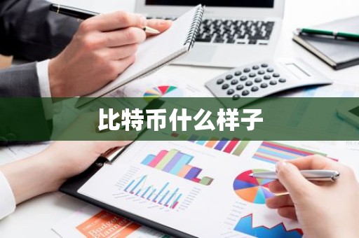 比特币什么样子