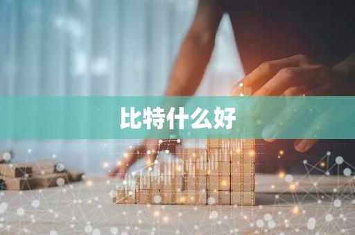 比特什么好