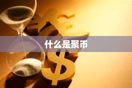 什么是聚币