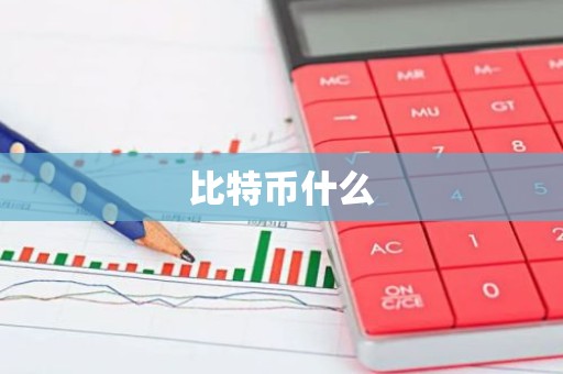 比特币什么