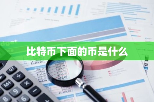 比特币下面的币是什么