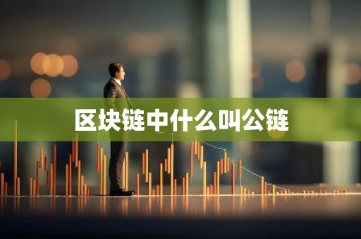 区块链中什么叫公链