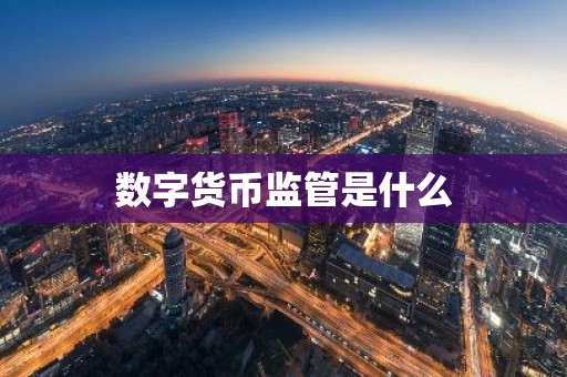 数字货币监管是什么