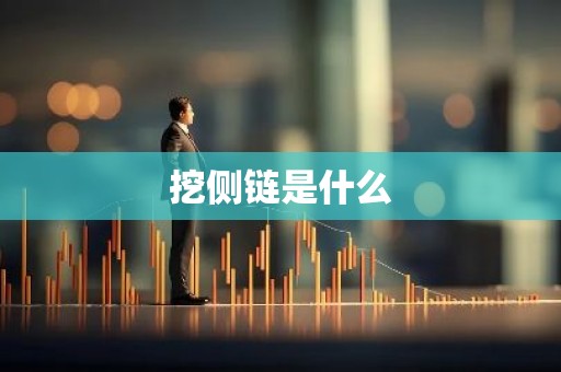 挖侧链是什么