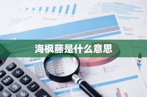 海枫藤是什么意思