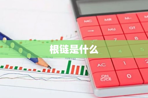根链是什么