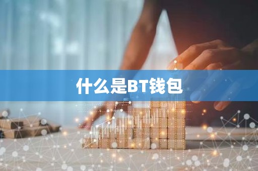 什么是BT钱包
