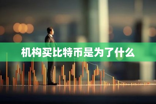 机构买比特币是为了什么